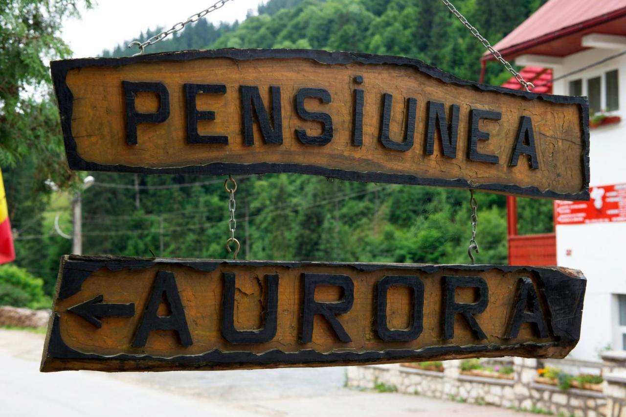 Pensiunea Aurora อัลบัค ภายนอก รูปภาพ